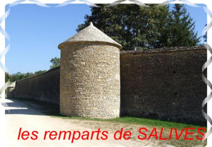 Le Puits Fortifie Salives Exterior foto